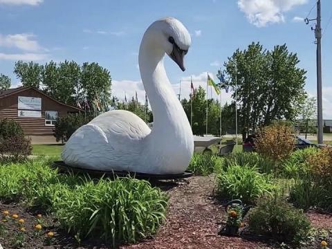 Two Decades, One Swan Valley Mission