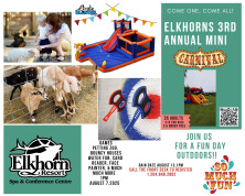 3rd Annual Mini carnival .jpg