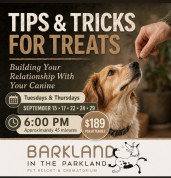 Barkland Training.jpg