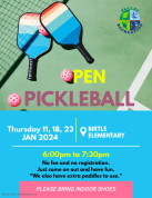 Birtle Pickleball.jpg