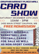 Card Show at the Dauphin Marketplace Mall.jpg