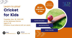 Cricket for Kids at the Ashern Wellness Centre.jpg