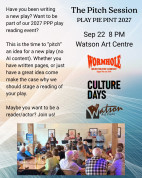Culture days Pitch Session.jpg