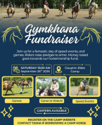 Dauphin Bible Camp Fundraiser.jpg