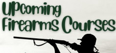 Dauphin Firearms.jpg