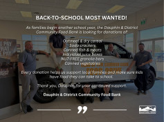Dauphin Ford Food Bank.jpg