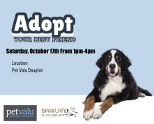 Dauphin Pet Valu Pet Adoption Day.jpg