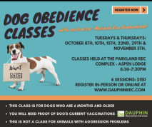 Dog Obedience Classes.jpg