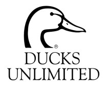 Ducks Logo.jpg