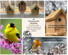 DYI bird House build Workshop (2).jpg