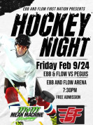 Ebb & Flow Hockey Night.jpg