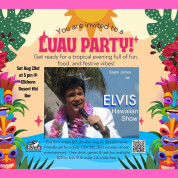 Elvis Concert.jpg
