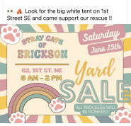 Erickson Yard Sale.jpg