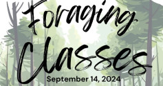 Foraging Classes Eriksdale.jpg