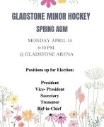 Gladstone Minor Hockey AGM.jpg
