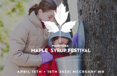 Maple Syrup Tree Taping .jpg