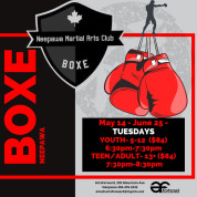 Neepawa Boxing.jpg