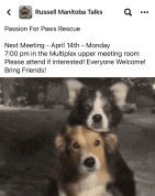 Russell Passion for Paws Regular Monthly Meeting.jpg