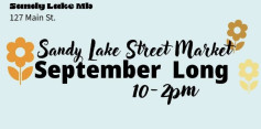 Sandy Lake Street Market.jpg