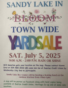 Sandy Lake Town Wide Yard Sale.jpg