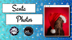 Santa Photos.jpg