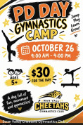 Swan Valley Gymnastics PD Day.jpg