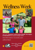 wellness week with Solange  from experts..jpg