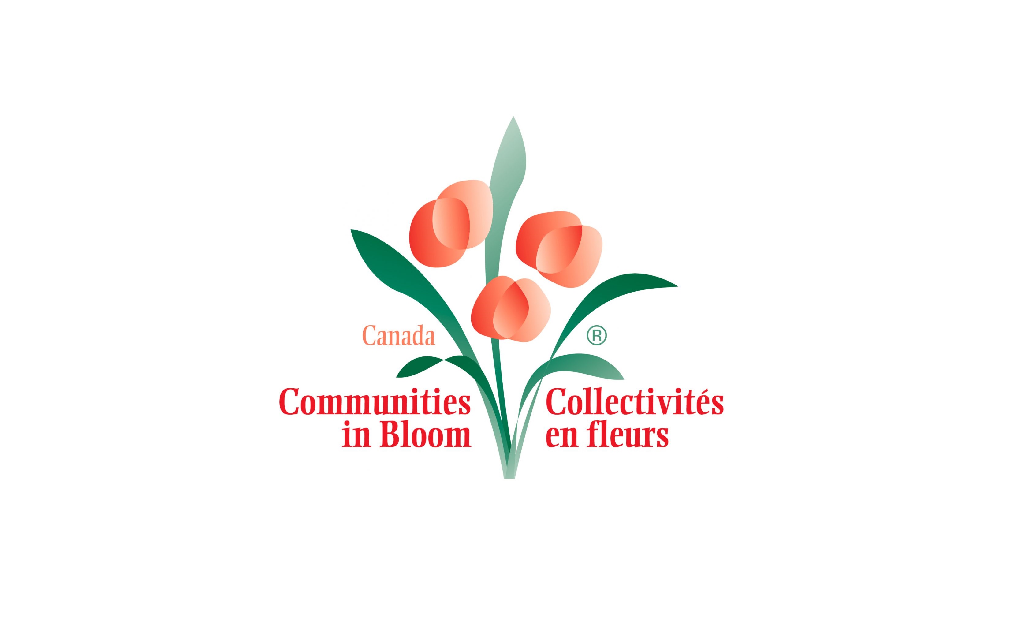 Communities In Bloom Awards Announced 730 CKDM