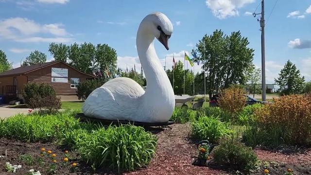 Two Decades, One Swan Valley Mission