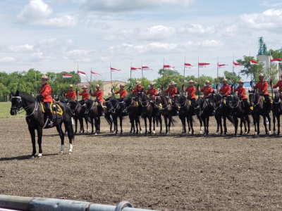 Musical Ride, A Magical Experience