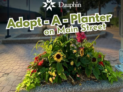 Adopt a planter on Main Street