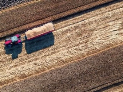 Cash Flow Support For Harvest