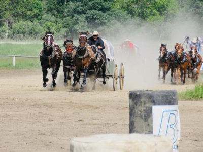 Chucks and Chariots ready to roll
