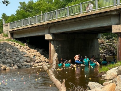Ducks Galore In Ochre River 