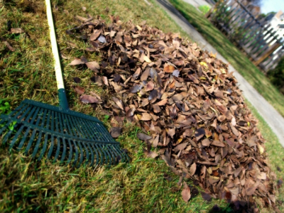 Dauphin Gets Ready for Fall Clean-Up