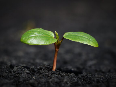 Manitoba Agriculture Soil Health Event