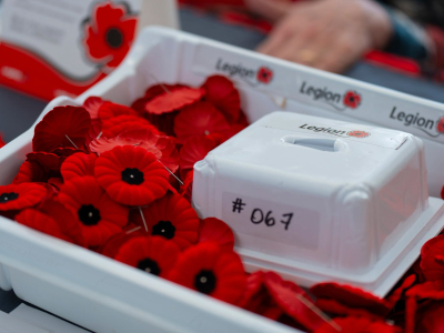 Legion Poppy Campaign Starts Today