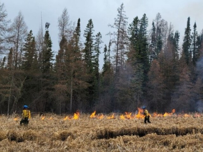 Driver Dies After Rear-Ending Backhoe - 730 CKDM