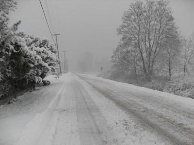 The Snow Returns 