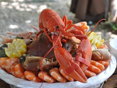 Lobsterfest Returns In Dauphin 