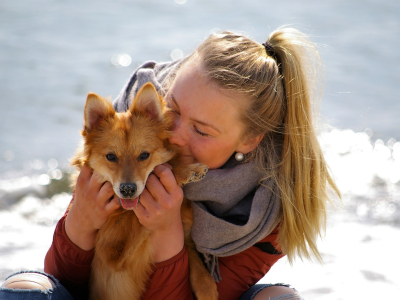 Where Tails And Hearts Meet