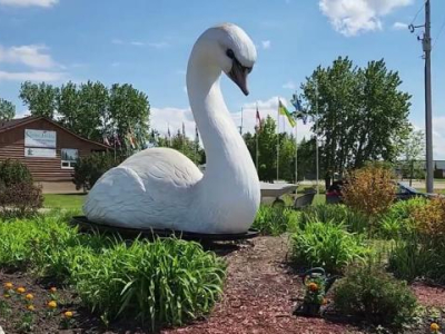Two Decades, One Swan Valley Mission